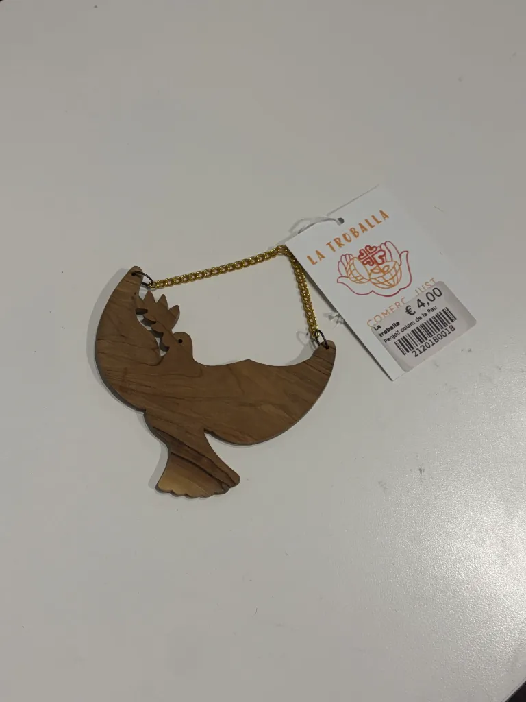 Foto 7-12-25, 19 05 39.webp