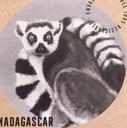 85% Chocolate Madagascar